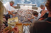 die Mannschaft bei der Arbeit