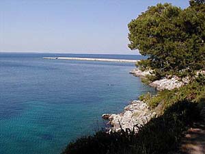 Appartement&nbsp;antun3