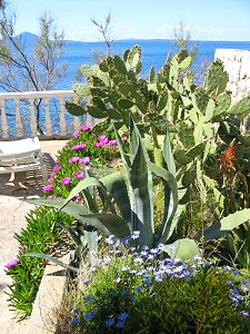 Appartement&nbsp;puntinetta4