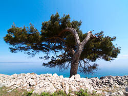 Losinj im weiten Winkel - April 2006