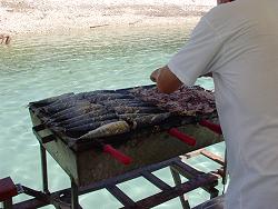 auf Tour mit Kapit�n Mate auf Insel Losinj / Kroatien