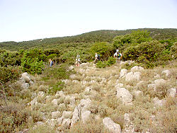 am Fu�e des Osorscica