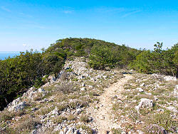 am Fuße des Osorscica