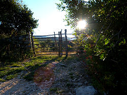 am Fuße des Osorscica