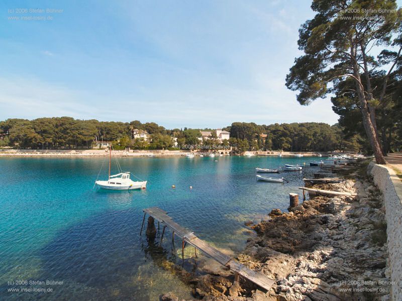 in der Cikat Bucht in Mali Losinj - Kroatien